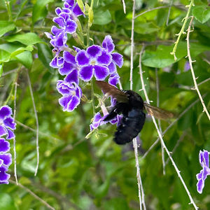 Meet your Posher, Edith